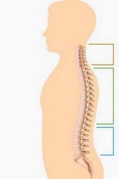 rauni na osteochondrosis na sassa na kashin baya